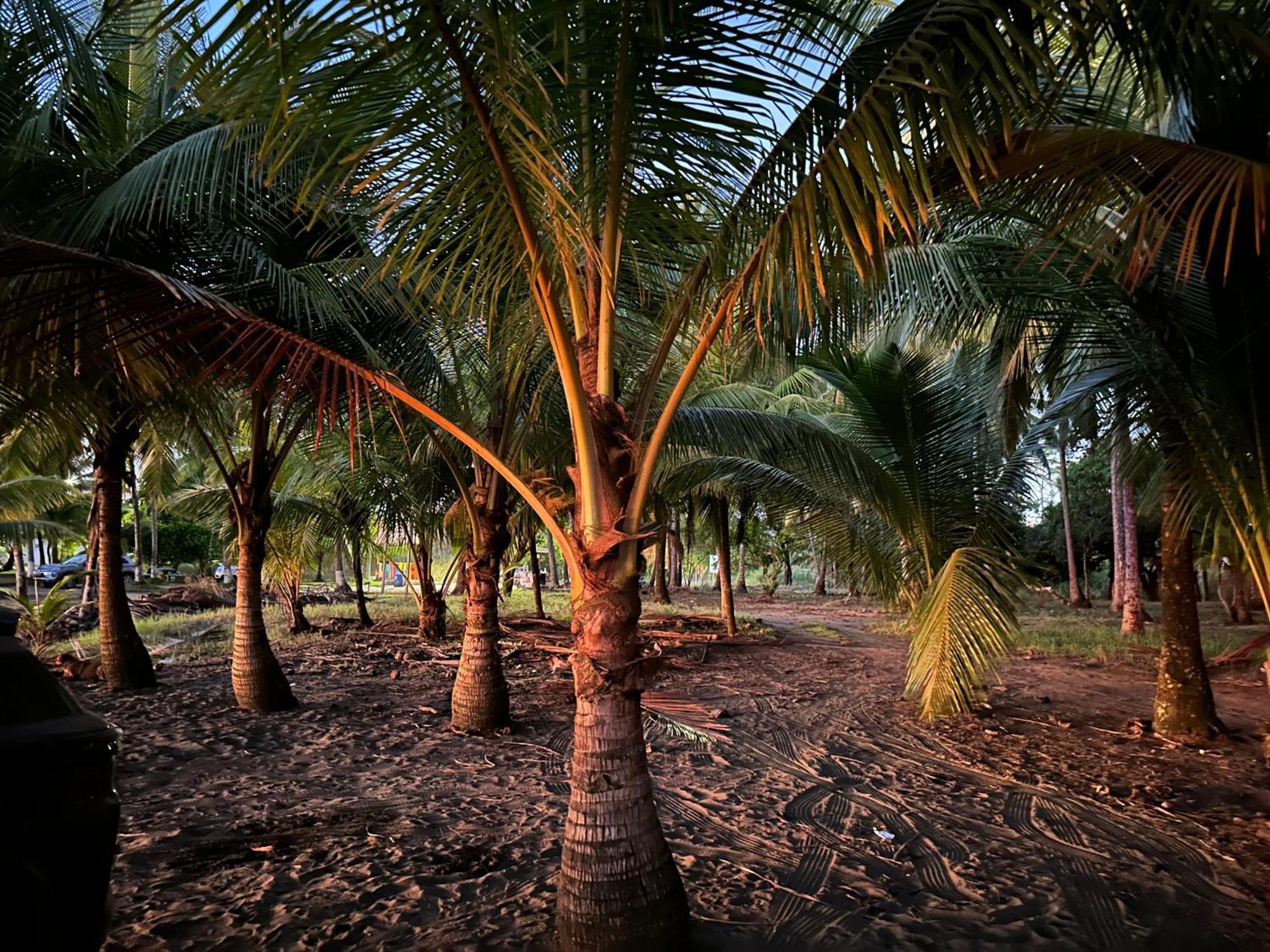Casa Paraiso Tropical Parrita Dış mekan fotoğraf